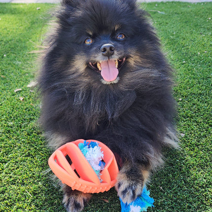 Rubber Football Dog Chew Toy with Tug Rope -- Great for Active Dogs --